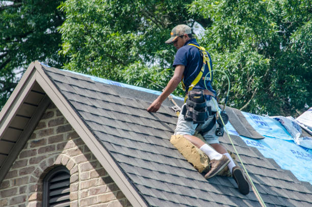Best Roof Gutter Cleaning  in Smithville, OH